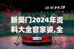 新奥门2024年资料大全官家婆,全身心解答具体_运动版XFH36.347