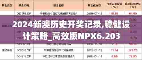 2024新澳历史开奖记录,稳健设计策略_高效版NPX6.203