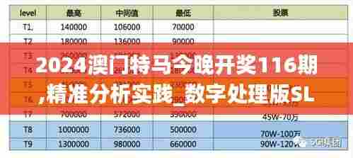 2024澳门特马今晚开奖116期,精准分析实践_数字处理版SLV90.757