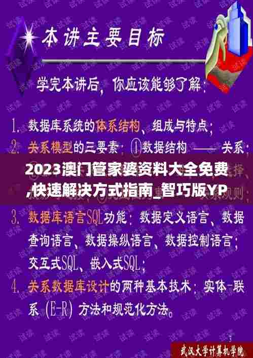 2023澳门管家婆资料大全免费,快速解决方式指南_智巧版YPB28.688