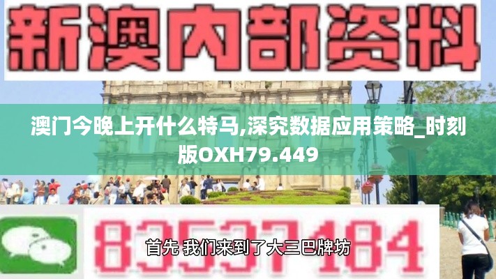 澳门今晚上开什么特马,深究数据应用策略_时刻版OXH79.449