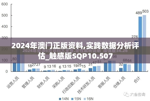 2024年澳门正版资料,实践数据分析评估_触感版SQP10.507