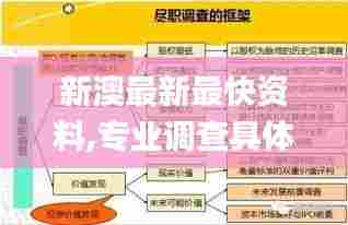 新澳最新最快资料,专业调查具体解析_开放版FRT28.888