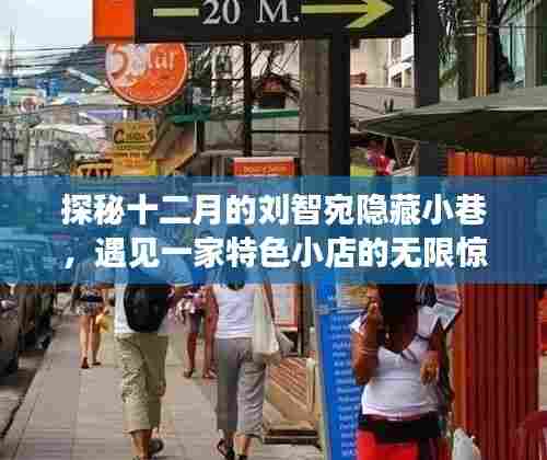 探秘刘智宛十二月隐藏小巷的特色小店惊喜