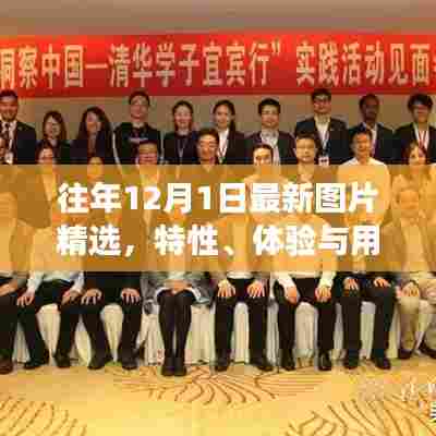 往年12月1日精选图片回顾,特性、体验与用户洞察总结报告