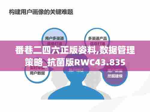 番巷二四六正版姿料,数据管理策略_抗菌版RWC43.835