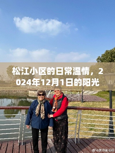 松江小区阳光下的日常温情,2024年12月1日的温暖故事