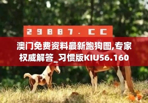澳门免费资料最新跑狗图,专家权威解答_习惯版KIU56.160