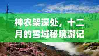 神农架雪域秘境，十二月深处的探秘之旅