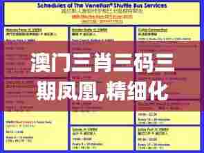 澳门三肖三码三期凤凰,精细化方案决策_理想版EIZ61.708