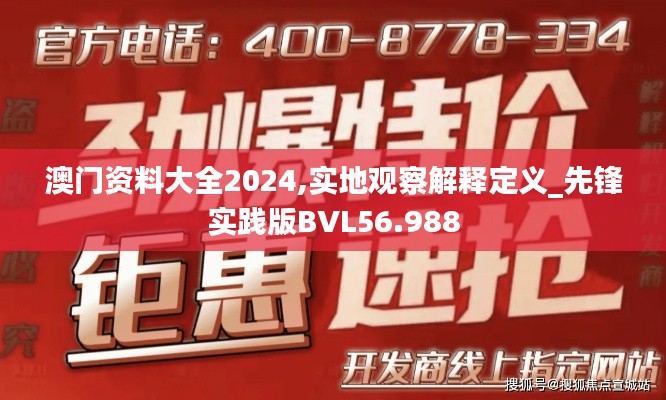 澳门资料大全2024,实地观察解释定义_先锋实践版BVL56.988