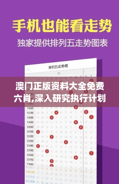 澳门正版资料大全免费六肖,深入研究执行计划_互助版TED35.604