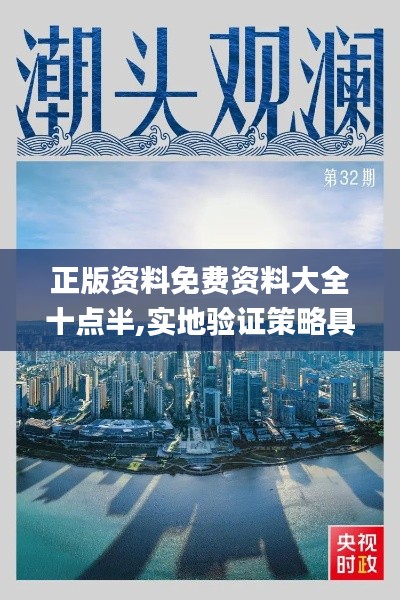 正版资料免费资料大全十点半,实地验证策略具体_声学版OHY4.921