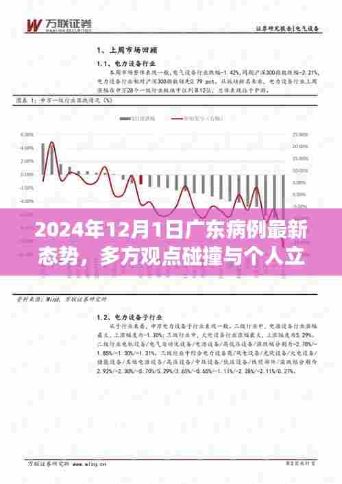 广东病例最新态势分析,多方观点碰撞与个人立场阐述(2024年12月)