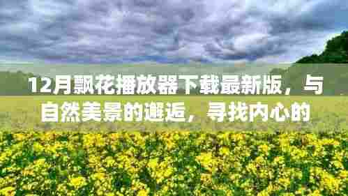 与自然美景邂逅,最新飘花播放器下载,开启内心平和之旅