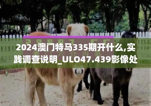 2024澳门特马335期开什么,实践调查说明_ULO47.439影像处理版