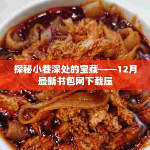 探秘小巷深处的宝藏,最新书包网下载屋揭秘(12月更新)