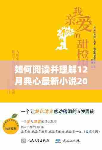 阅读指南,如何深度解读12月典心最新小说2016学习手册