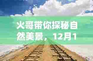 火哥引领自然探秘之旅，12月启程，寻找内心的宁静与快乐