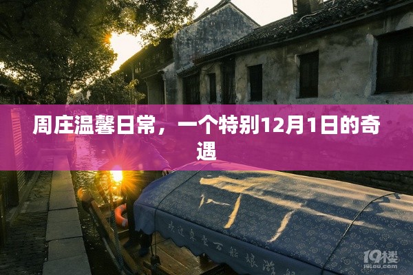 草率收兵 第5页