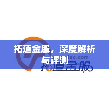 拓道金服深度解析与评测报告