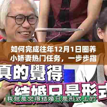 圈养小娇妻热门任务指南,如何轻松完成往年12月1日任务(初学者与进阶用户适用)