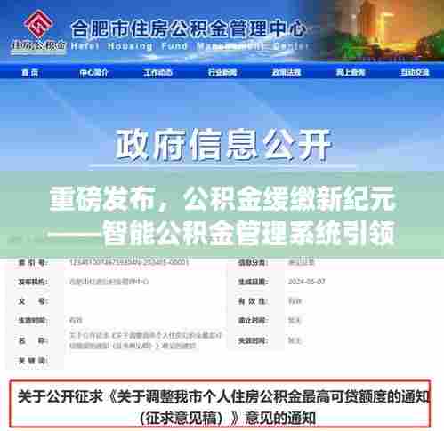 公积金新纪元,智能管理系统引领未来生活篇章,缓缴政策重磅发布