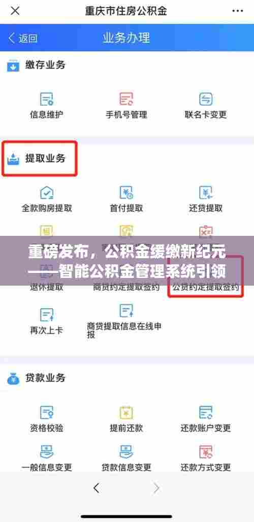 公积金新纪元,智能管理系统引领未来生活篇章,缓缴政策重磅发布