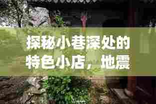 探秘小巷特色小店,地震之日惊喜涌现