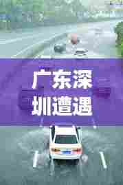 广东深圳暴雨引发观点碰撞与个人立场探讨