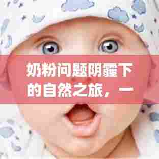 奶粉阴霾下的心灵之旅,寻找自然与内心平静的冒险