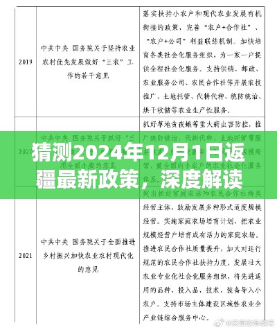 深度解读与前瞻性思考,预测2024年返疆最新政策动向分析
