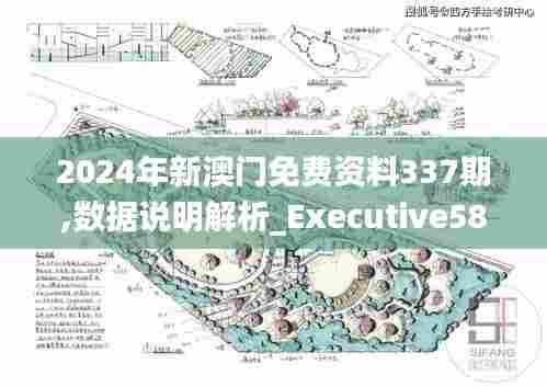 2024年新澳门免费资料337期,数据说明解析_Executive58.706-8