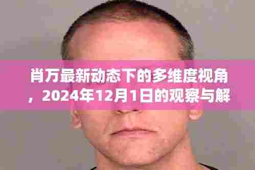 肖万最新动态的多维度解读，观察与剖析（2024年12月1日）