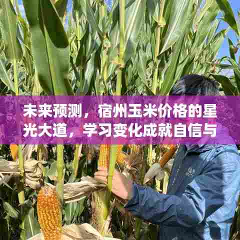 宿州玉米市场趋势预测,学习变化,把握星光大道,成就自信与梦想之路