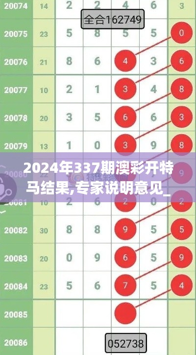 2024年337期澳彩开特马结果,专家说明意见_R版30.324-8