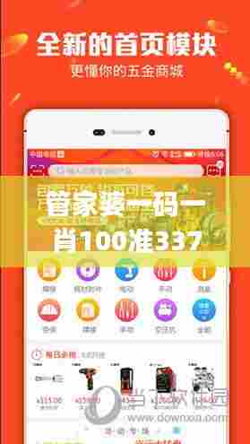 管家婆一码一肖100准337期,经典解释定义_pack89.905-4