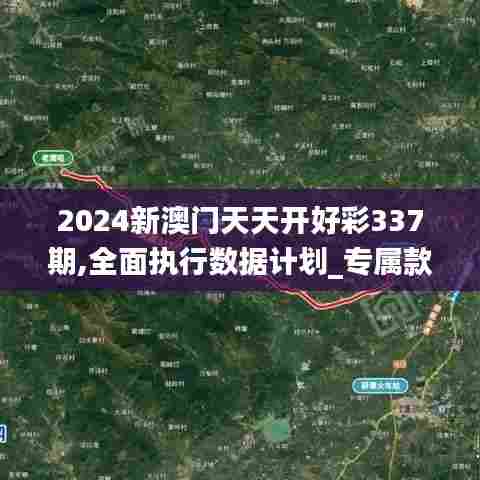 2024新澳门天天开好彩337期,全面执行数据计划_专属款8.206-3