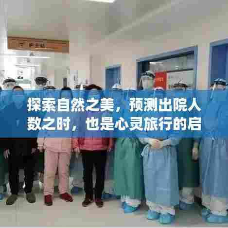 自然探索与心灵旅行的启程,预测出院人数之际的启示