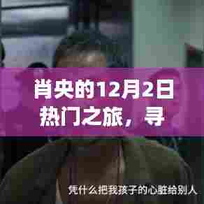 肖央的宝藏之旅,探寻自然之美,拥抱内心宁静的十二月之旅