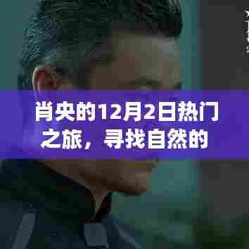 肖央的宝藏之旅,探寻自然之美,拥抱内心宁静的十二月之旅