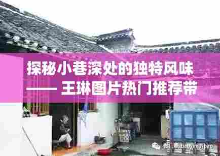 探秘小巷深处的隐藏美食宝藏,王琳图片热门推荐带你领略独特风味