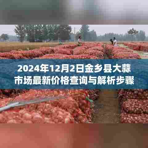 金乡县大蒜市场最新价格查询与解析步骤指南(2024年12月版)