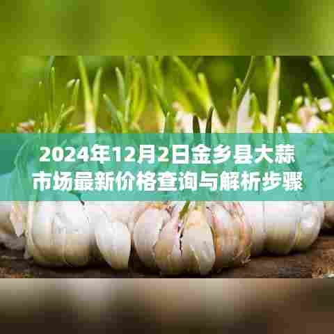 金乡县大蒜市场最新价格查询与解析步骤指南(2024年12月版)