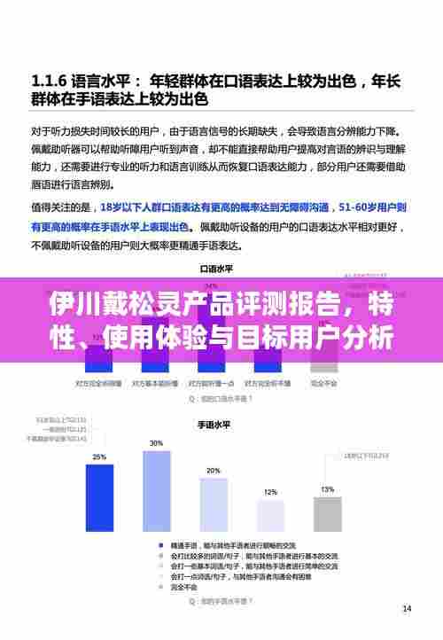 伊川戴松灵产品评测报告,特性、使用体验与目标用户深度解析