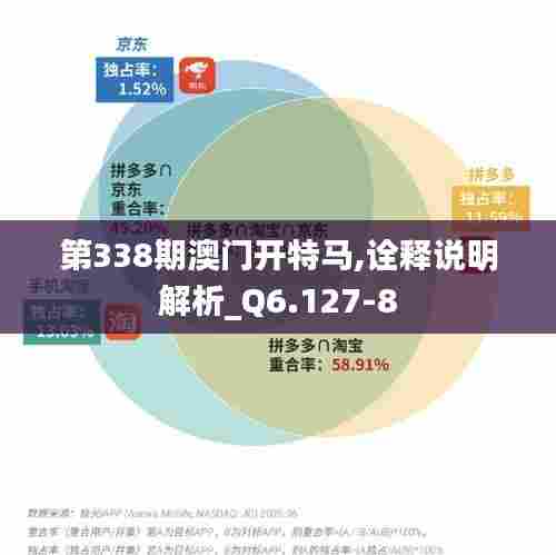 第338期澳门开特马,诠释说明解析_Q6.127-8