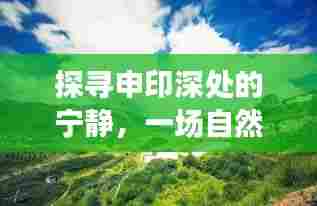 申印深处的宁静探索,自然美景的心灵之旅