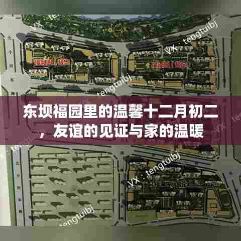 东坝福园十二月初二,友谊的见证与家的温馨聚会