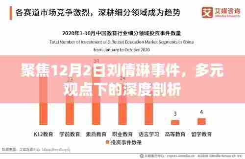 刘倩琳事件深度剖析,多元观点聚焦12月2日热议话题