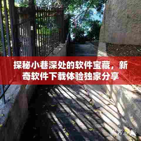 小巷深处的软件宝藏探秘,新奇软件下载体验分享